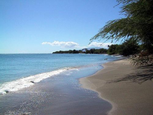 키헤이 Maui Suncoast Maui Vista 아파트 호텔 시설 사진
